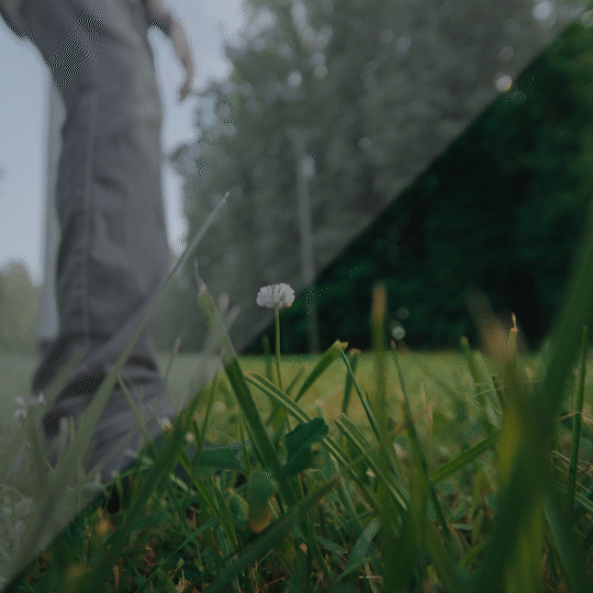 16MM LUT PACK